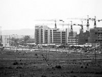 Sloboština 1977. godine